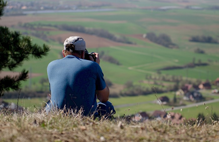 Im Fokus: Die Mainlandschaft – © Clemens Henker, 2018