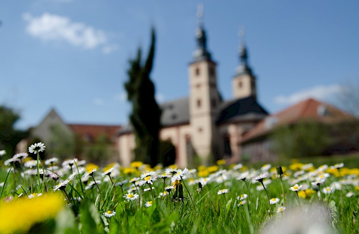 Kloster Triefenstein am Main – © Clemens Henker, 2013