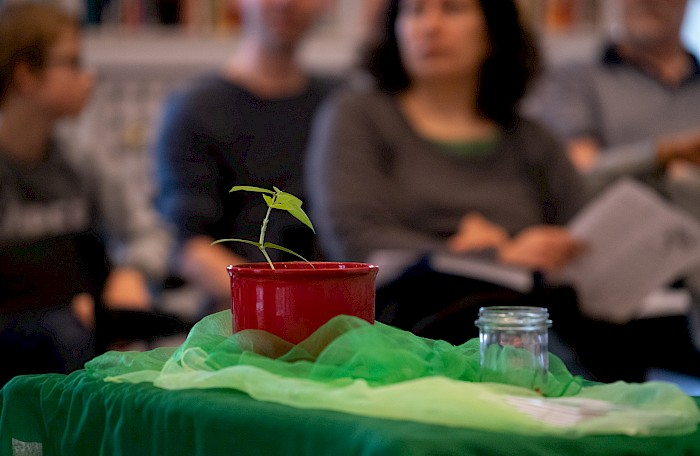 Alles muss klein beginnen – © Clemens Henker, 2019