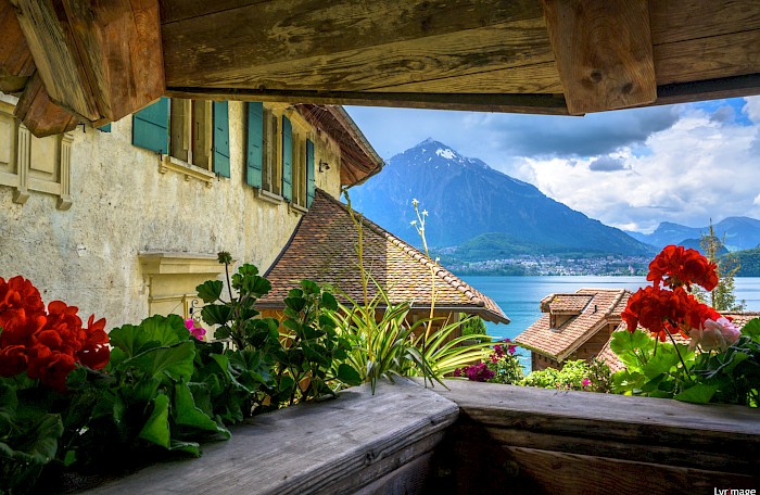 Ausblick auf den Niesen – © Markus Spingler 2024